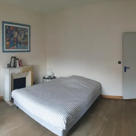 公寓 L'appart'hotel Vous Accueille Au Coeur De Chaumont *