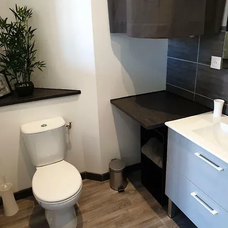 Appartement Le Studio Vous Accueille Au Cœur De Chaumont *
